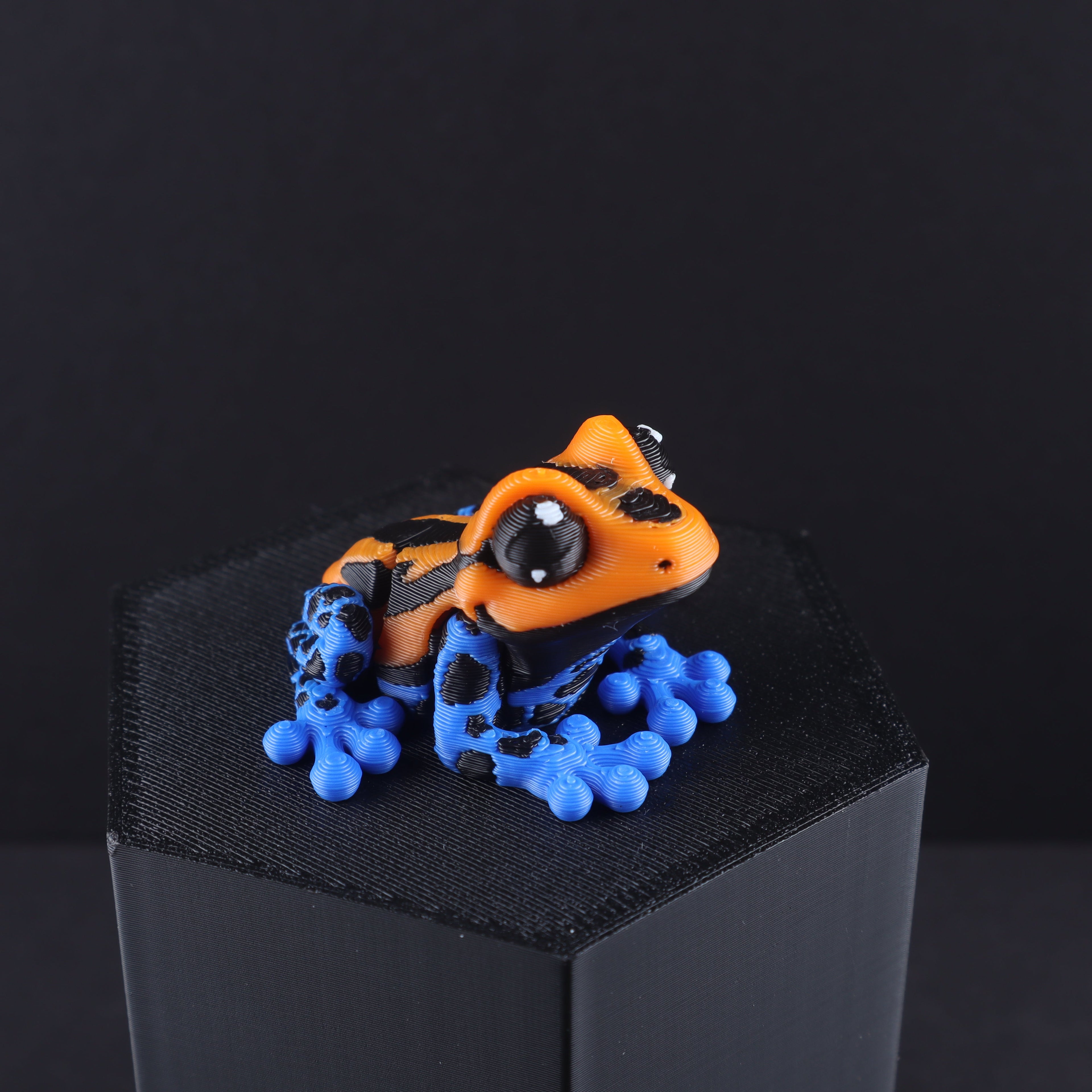 3D Printed Mini Reptile and Amphibian Fidget Toy Set – Articulated Classroom Reward Gift